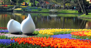 Keukenhof, el “jardín más bello del mundo” acaba de abrir sus puertas