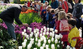 Keukenhof, el “jardín más bello del mundo” acaba de abrir sus puertas