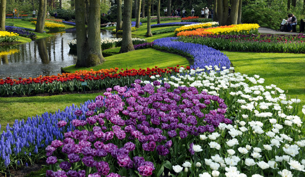 Keukenhof, el “jardín más bello del mundo” acaba de abrir sus puertas