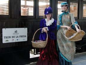 Tren de la Fresa y Palacio de Aranjuez, un viaje cultural