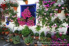 Córdoba, Espléndida con los Patios Floridos del mes de Mayo