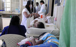 El dengue podría subir a 50 mil casos en el mes de marzo 