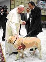 Foto AP - El Papa Francisco I bendice a un perro guía  