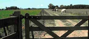 Entrada de una estancia en Argentina  (foto “InfoCampo”)