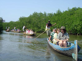 EcoTurismo en los manglares colombianos 