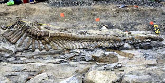 El fósil, de 72 millones de años. / INAH (AFP)