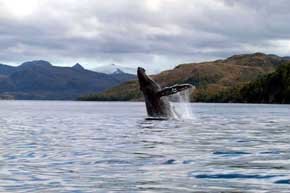 Descubre la Patagonia de Magallanes