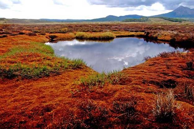 Descubre la Patagonia de Magallanes