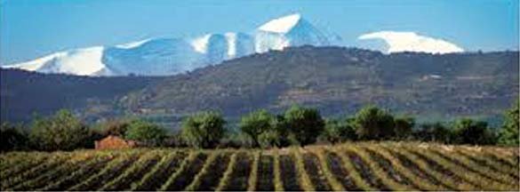 Viñas Del Vero, Gigante Del Somontano