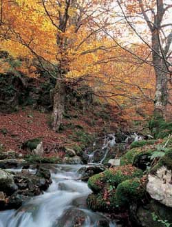 Las Merindades: Cultura, paisaje, patrimonio y mitología en territorio burgalés 