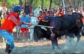 PACMA entrega en el Congreso 85.000 firmas contra el Toro de la Vega