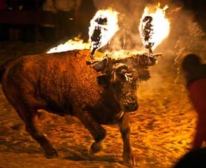 El Toro Jubilo de Medinaceli