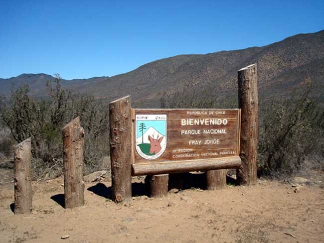 Parque Nacional Bosque de Fray Jorge : primer sitio Starlight de Chile y Sudamérica