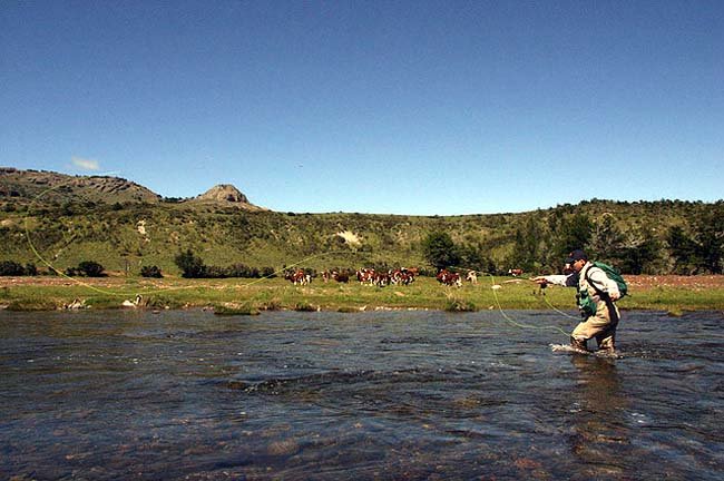 En Aysén, Chile se realiza campeonato de pesca selectiva para próximo Mundial