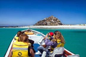 Paseos náuticos de Punta de Choros, Chile