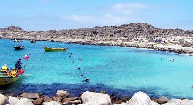 Paseos náuticos de Punta de Choros, Chile