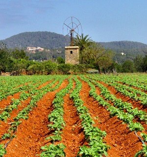 Ourense tiene casi la mitad de la superficie destinada a la agricultura ecológica en Galicia