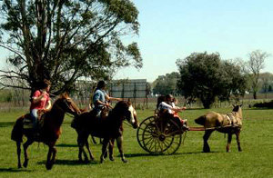 El Turismo rural tuvo buena ocupación en Semana Santa