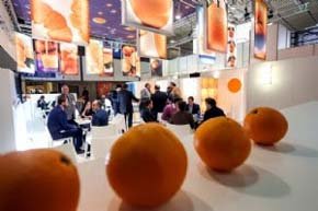 La fruta española protagoniza Fruit Logistica 2014