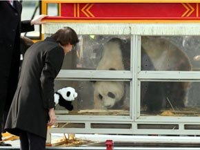 El oso es saludado por DiRupo, quien le dio trato de mandatario. 