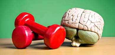 ¿El ejercicio puede mejorar tu inteligencia y actividad cerebral?