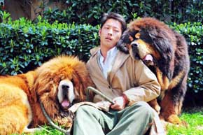 Los perros de dos millones que son la última moda en China