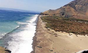 Donan terrenos para postular momias de Chinchorro como patrimonio Unesco 