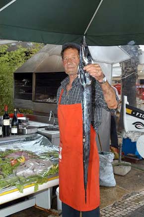 Semana dedicada ao Peixe-espada Preto começa sexta-feira