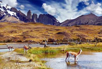 Torres del Paine entre los 35 parques nacionales más bellos del mundo