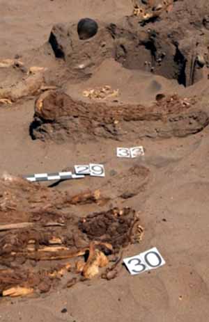 Descubren 150 tumbas de una civilización perdida en el desierto de Atacama en Perú 
