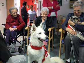 El Hospital de Campdevànol (Girona) realiza una prueba piloto de terapia asistida con animales 