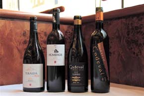 'Los Vinos del Camino de Santiago' - ( Foto: Blog de Esteban Capdevila)