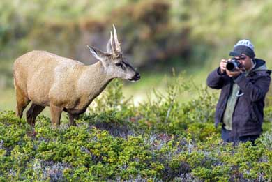 Los tesoros del istmo de Ofqui para el turismo científico en-Aysén