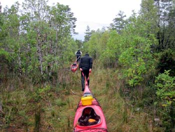 Los tesoros del istmo de Ofqui para el turismo científico en-Aysén