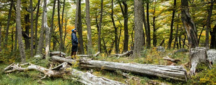 “El futuro de Aysén es el turismo”