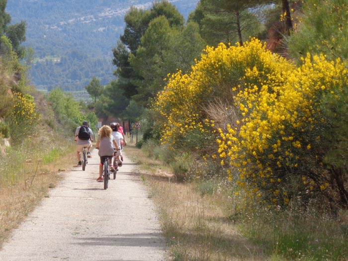 Puente Viesgo, Cuevas y Termas