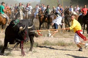 Gran manifestación en Madrid contra el Toro de la Vega