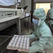 La Gripe A continúa creciendo en países de Latinoamérica 