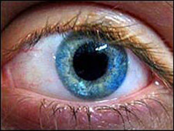 La degeneración macular relacionada con la edad es la principal causa de ceguera en la vejez. 