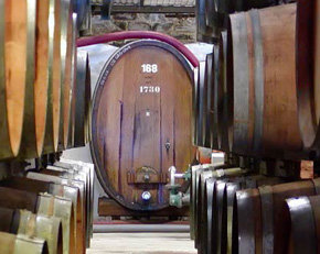 Los vinos de Andalucía están desarrollando nuevas variedades 