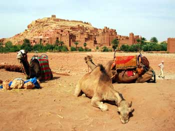 Marruecos, uno de los tres países más acogedores del mundo