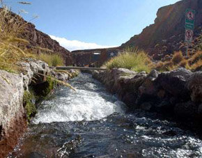 Bolivia podrá cobrar a los empresarios del norte del Chile por el 50 por ciento del uso de las aguas de la región potosina del Silala. En la imagen,
Las agua del río Silala, fronterizo con Chile  
