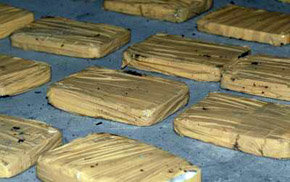 La policía boliviana incautó 15,5 toneladas de cocaína en el primer semestre de 2009 