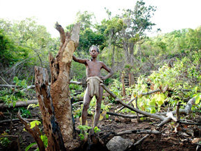 Los dongria kondh dependen de los bosques para su supervivencia