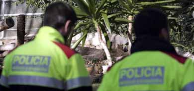 Un hombre, vestido completamente con un uniforme militar de camuflaje, se ha adentrado hoy de forma voluntaria en el recinto de los leones del Zoo de Barcelona y ha sido atacado por dos leonas (en la imagen) y un león del recinto. EFE

