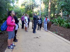 Turistas llegados a Santa Cruz de Tenerife