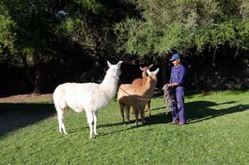 Salta, La Niña Bonita del Norte