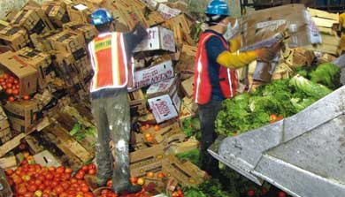 ¿Qué hacen los súper con los alimentos que no venden? Sólo 8 de 28 cadenas lo aclaran