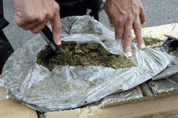 El narcotráfico mueve siderales sumas de dinero en Perú. En la imagen de archivo, un alijo de marihuana aprehendido en Tacna, ciudad del sur del Perú fronteriza con Chile