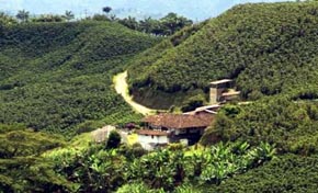 Rutas del paisaje cafetero en Colombia